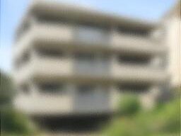 シロアリ被害のマンション一室、即日買取で安心！
